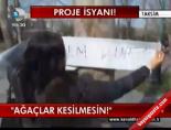 protesto - 'Ağaçlar Kesilmesin!' Videosu