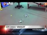 İşte Casus Sinekler