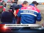 Donmaktan Kurtarıldılar