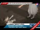 oyuncu kopek - 4 ayaklı Artist'e ödül Videosu