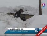 Yurtta Kara Kış