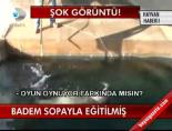 Badem Sopayla Eğitilmiş online video izle