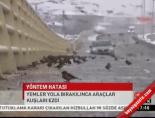 Yanlış yemleme, kuş katliamı!