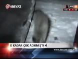 O Kadar Çok Açıkmıştı Ki