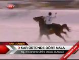 Kar Üstünde Dört Nala