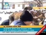 Aç kalınca köye indi