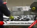 avrupa - Avrupalılar Türk Balığını Sevdi Videosu