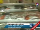 Balık Halinin Yeni Hali online video izle