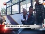 56 santimetre - Boyu Sadece 56. Santimetre Videosu