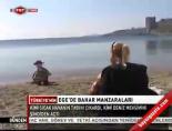 Ege'de Bahar Manzaraları
