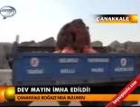Dev mayın imha edildi!
