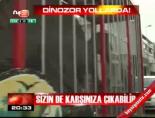 Dinazorlar yollarda!