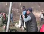 bulgaristan - Şok eden kuduz ayini! Videosu