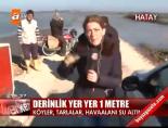 tarim - Hatay gölü Videosu