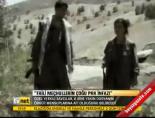 faili mechul - Faili meçhullerin çoğu PKK infazı Videosu