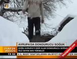 Avrupa'da dondurucu soğuk online video izle