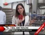 Bal gibi Tehlike