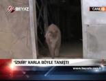 İzmir karla böyle tanıştı