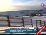 Aslı Nemutlu'nun Ölümü