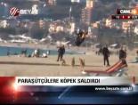 saldiri - Paraşütçülere Köpek Saldırdı Videosu