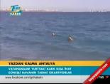 Yazdan kalma antalya