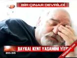 baykal kent - Bir çınar devrildi Videosu