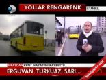 Erguvan, Turkuaz, Sarı
