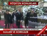 Güller ve Koreliler