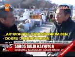 Saros balık kaynıyor