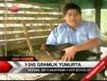 245 Gramlık Yumurta