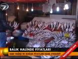 Balık halinde fiyatlar!