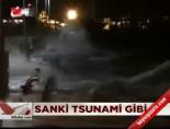 Fırtına Akdeniz'i fena vurdu online video izle