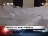Sibirya Soğukları Türkiye'de online video izle