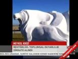 Heykel krizi