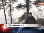 Sele Öyle Bir Kapıldı Ki