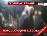 horoz dovusu - Horoz dövüşüne 129 gözaltı Videosu