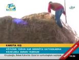 Kars'ta kış