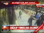 yunus polisi - Çoğalıp yunuslara saldırdılar Videosu