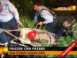 Falezde can pazarı!