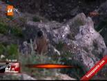 kurtarma operasyonu - Falezlerde can pazarı! Videosu