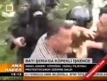 kopek saldirisi - Batı Şeria'da köpekli işkence Videosu