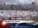 Tem Umutları Türkiye online video izle
