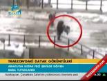 Trabzon'daki dayak görüntüleri online video izle