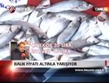balik fiyatlari - Balık Fiyatı Altınla Yarışıyor Videosu