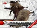 dogu anadolu - Bahar Geldi Buzlar Eriyor Videosu
