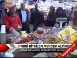 tibbi bitkiler - Tıbbi Bitkiler Mercek Altında Videosu