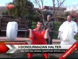 Dondurmadan Halter