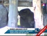 İzmir'e Arkadaş Geldi