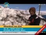 Ardahan'da kar çilesi Haberi 