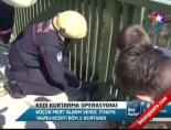 kurtarma operasyonu - Kedi kurtarma operasyonu Haberi  Videosu